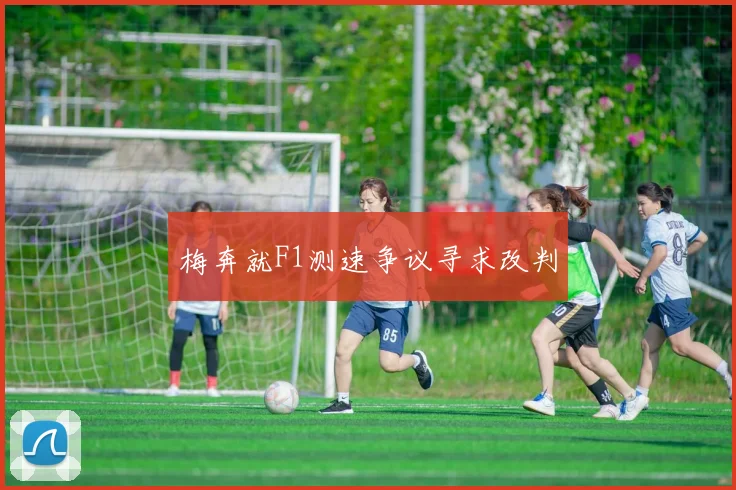 梅奔就F1测速争议寻求改判